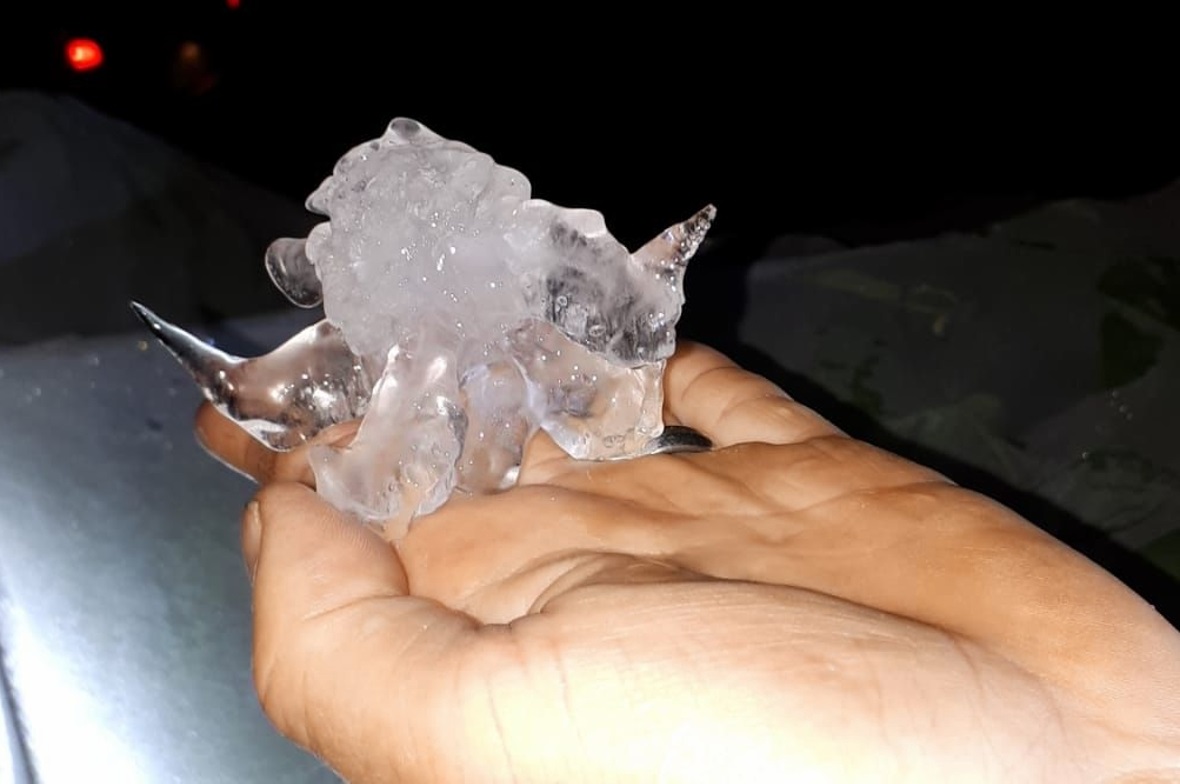 Leserbild von Regula und Benno Würsten, Matten.