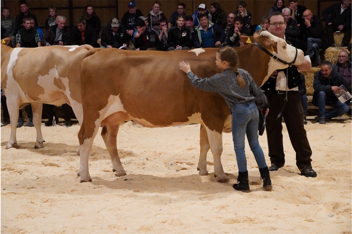 Liebevolles Zureden beruhigte das schöne Tier: Flower mit Fritz Niederhauser und...