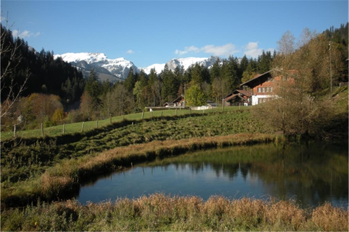 Löschwasserweiher in Grubenwald. Foto: Maggie Tschanz, Zweisimmen