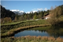 Löschwasserweiher in Grubenwald. Foto: Maggie Tschanz, Zweisimmen