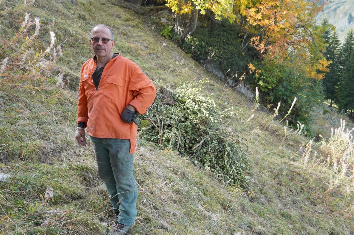 Lokaler Vertreter an diesem Mittwoch war Peter Lempen.