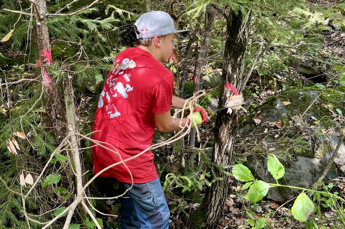 Luke Moor bei der Jungwaldpflege im Diemtigtal.
