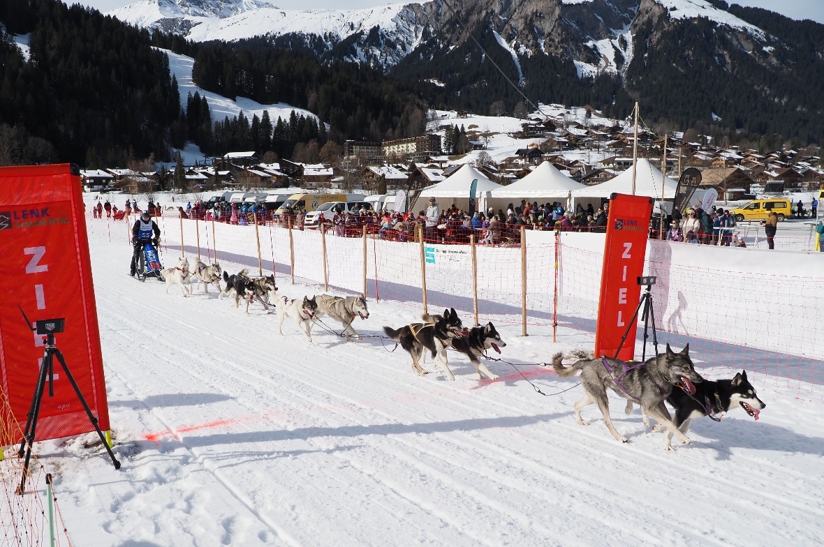 Manuela Walter kommt mit ihrem 10er-Gespann ins Ziel.