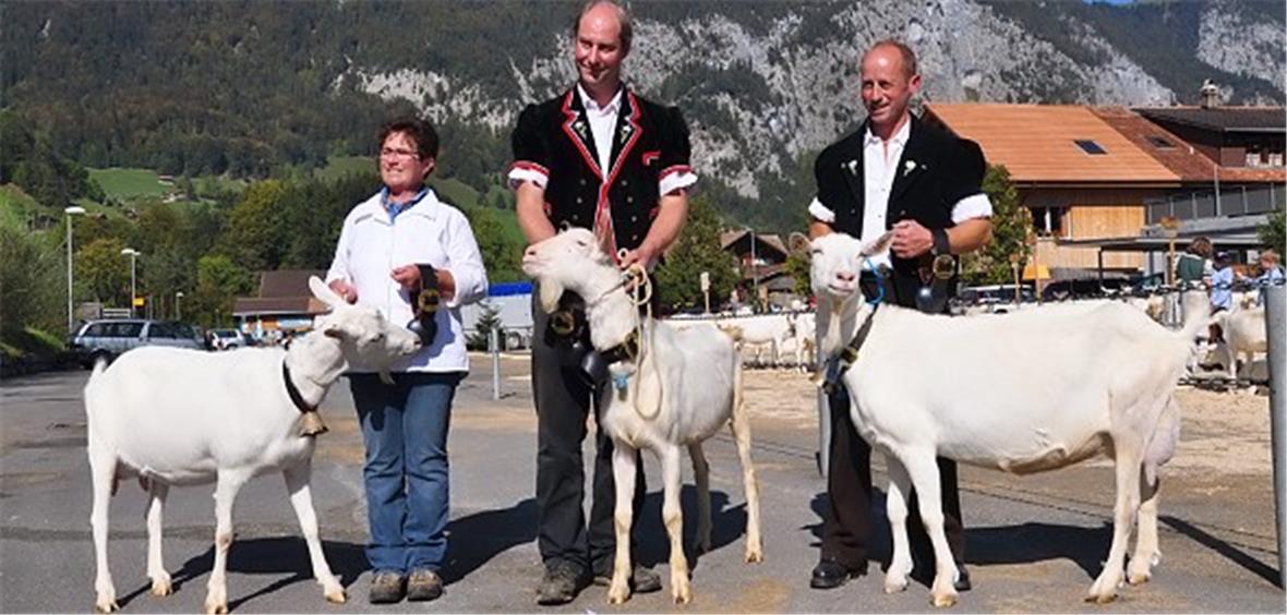 Marianne Hachen, Niklaus Teuscher und Heinz Klossner