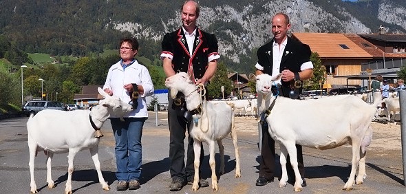 Marianne Hachen, Niklaus Teuscher und Heinz Klossner