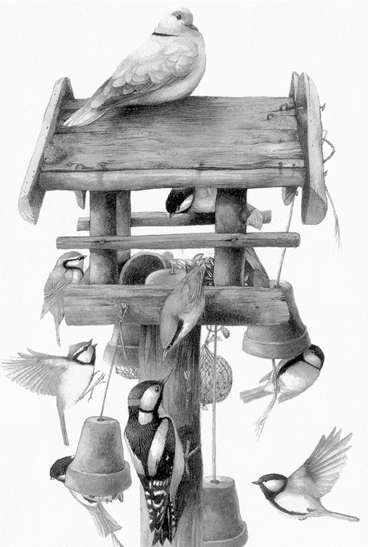 Marjolein Bastin