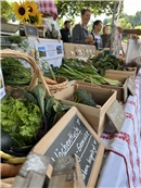 Marktstandangebote.