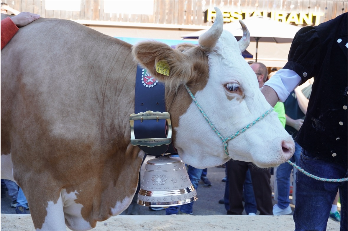 Meet Miss Lenk 2025!