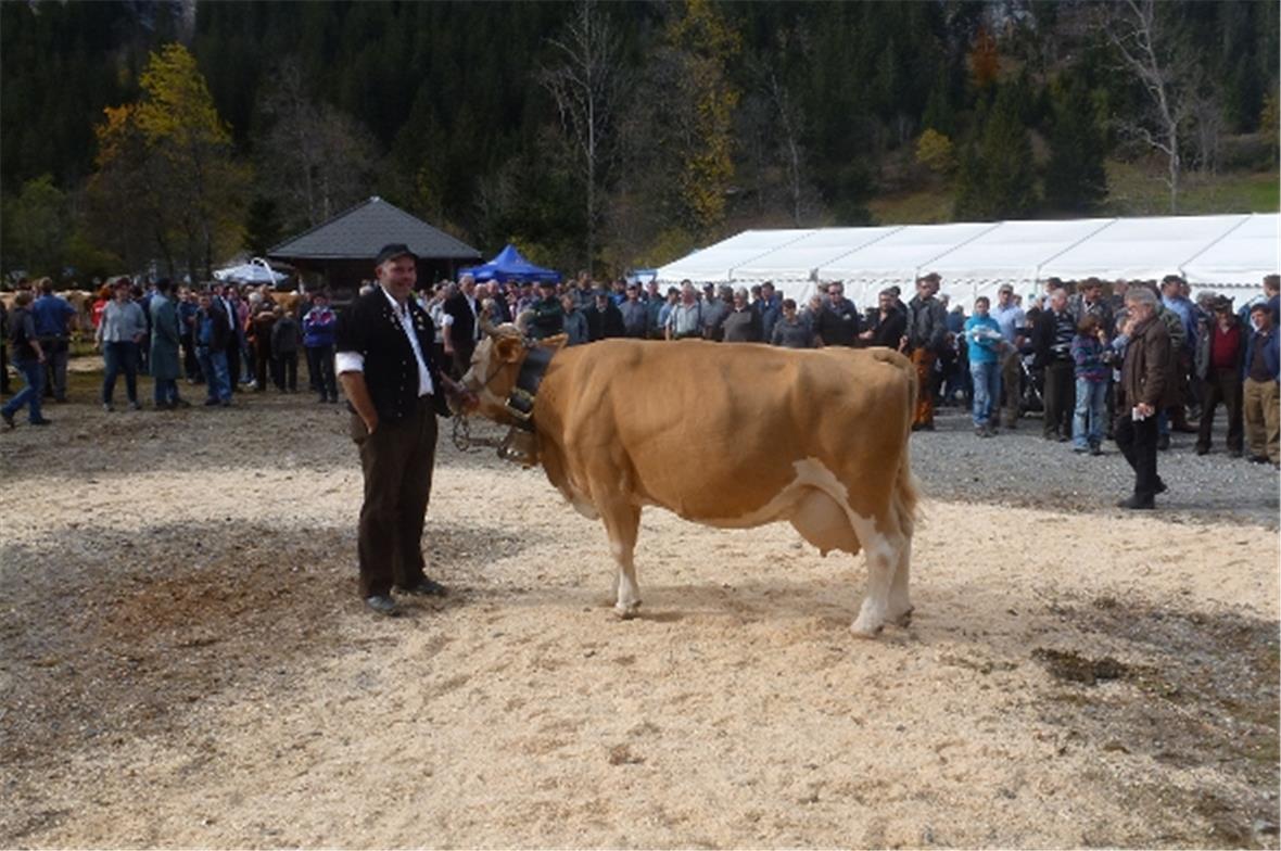 Melissa, die Schönste aus dem Betrieb von Daniel und Martin Gerber, Zwischenflüh.