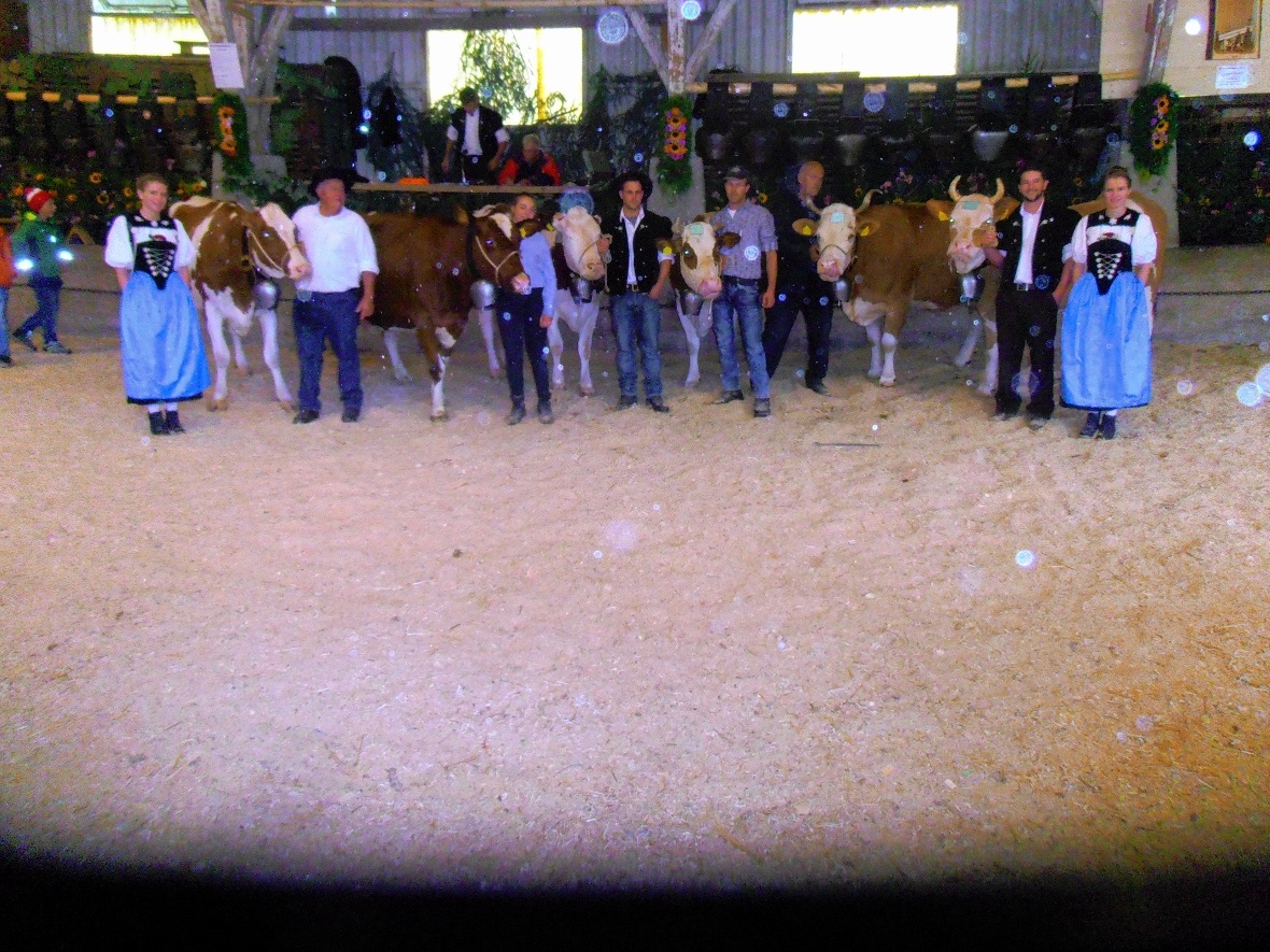 Miss HO Palma von Andreas Eschler, Miss Schöneuter Carmen von Res Knutti. Miss S...