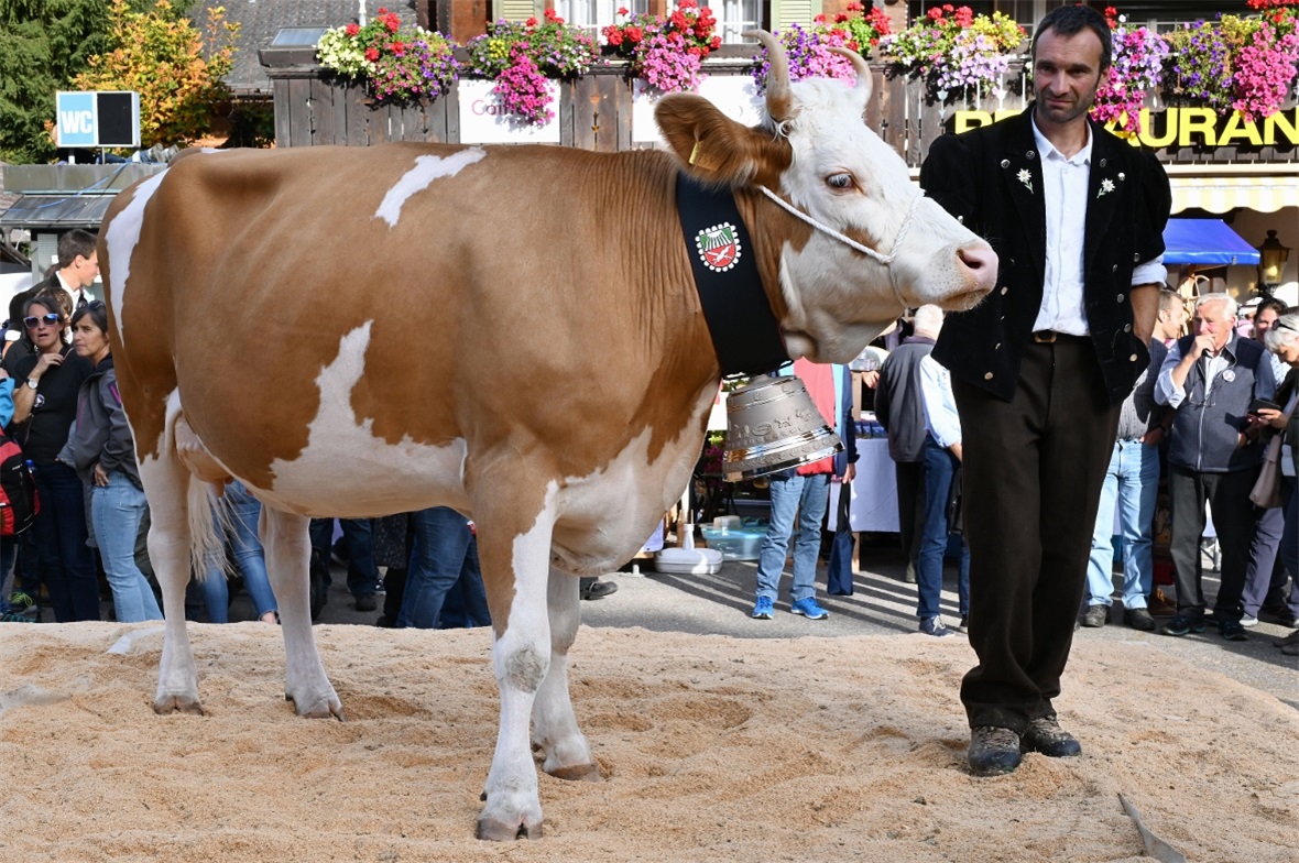 Miss Lenk Narzisse mit Besitzer Peter Zimmermann.