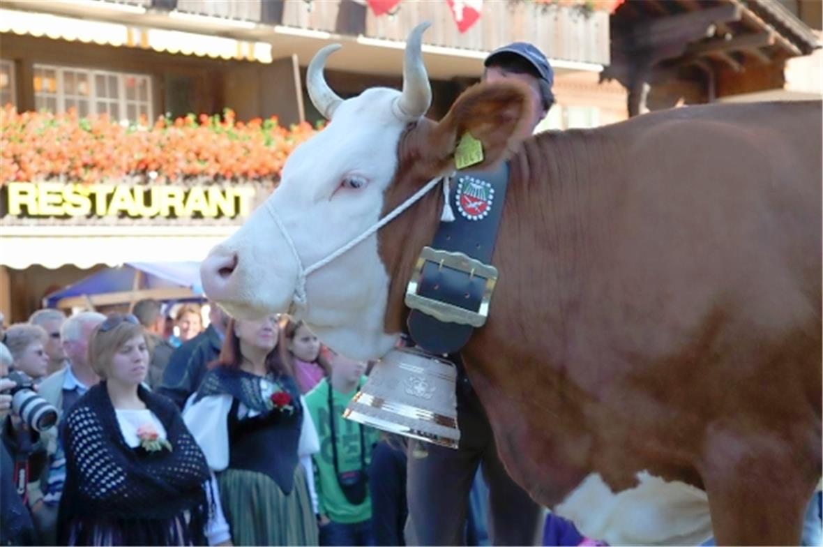 Miss Lenk: die Vierbeinige  Chantal