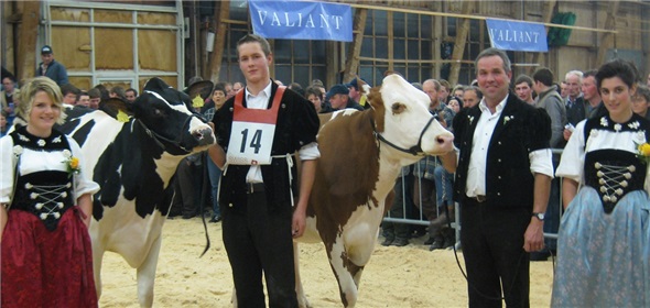 Miss RH/HO DBV La Croix Dolman Savannah von Viktor Reber, Zweisimmen und Miss Schöneuter Gudrun von Emil und Christian von Känel, Lenk.