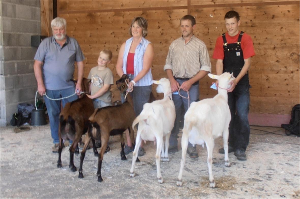 Miss Schöneuter Gämsfarbige Trine von Walter Fankhauser, Lauperswil, Miss Gämsfarbige Umbra von Brigitte Holderegger, Staffelbach, Miss Schöneuter Saanen Melanie von Stephan Sarbach, Adelboden, und Miss Saanen Wegas von David Mani, Schwenden.