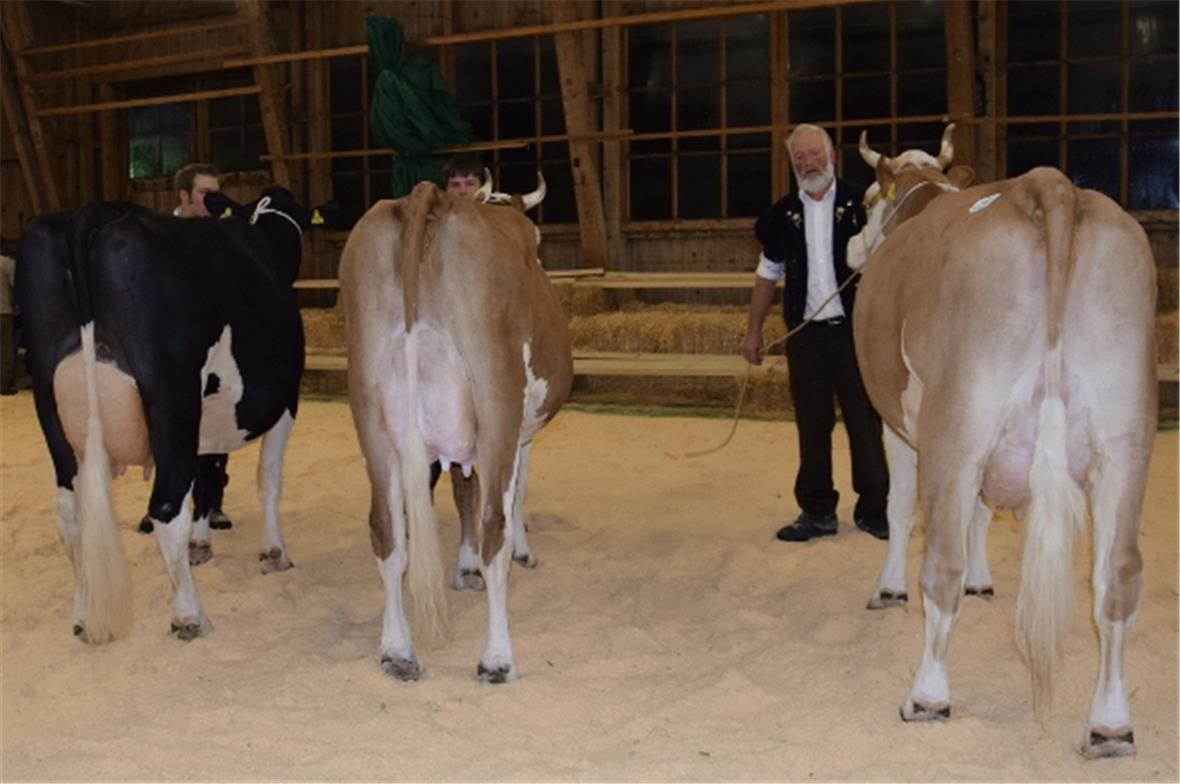 Miss Schöneuter RH, Glen-ET Raina, Ueli Riesen, Boltigen, Miss Schöneuter SF Spezi Pia, Adrian Gobeli, Boltigen, Miss Schöneuter SI Held Bionda, Walter Kurzen, St. Stephan.