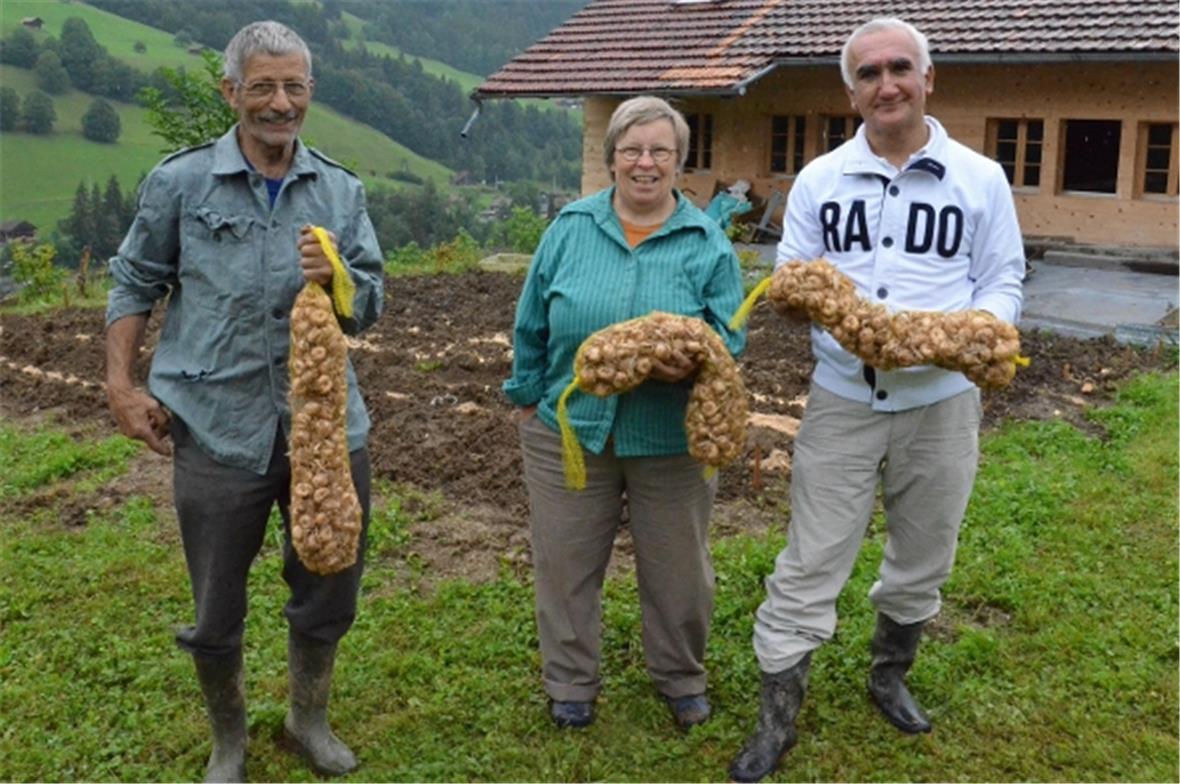 Mit 1000 echten Safranknollen aus Spanien starten die Bauersleute Samuel und Heidi Ziörjen zusammen mit Projektleiter Shaverdi Ahadov (r.) die Förderung des Safrananbaus in Weissenburg.