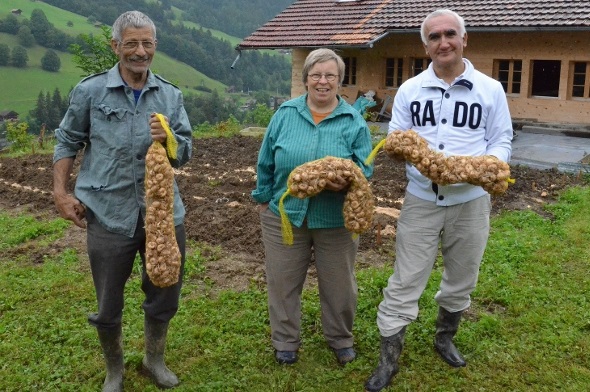 Mit 1000 echten Safranknollen aus Spanien starten die Bauersleute Samuel und Heidi Ziörjen zusammen mit Projektleiter Shaverdi Ahadov (r.) die Förderung des Safrananbaus in Weissenburg.