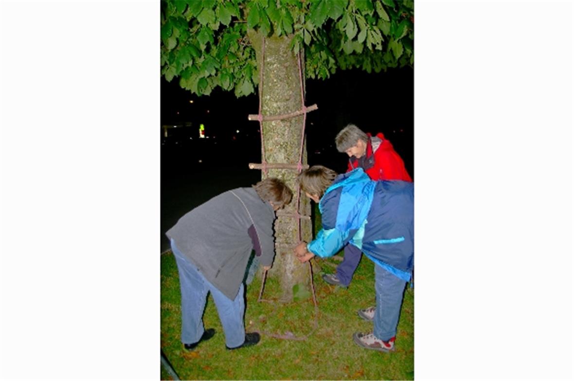 Mit Hilfe der Knotenlehre wird eine Strickleiter geknüpft.