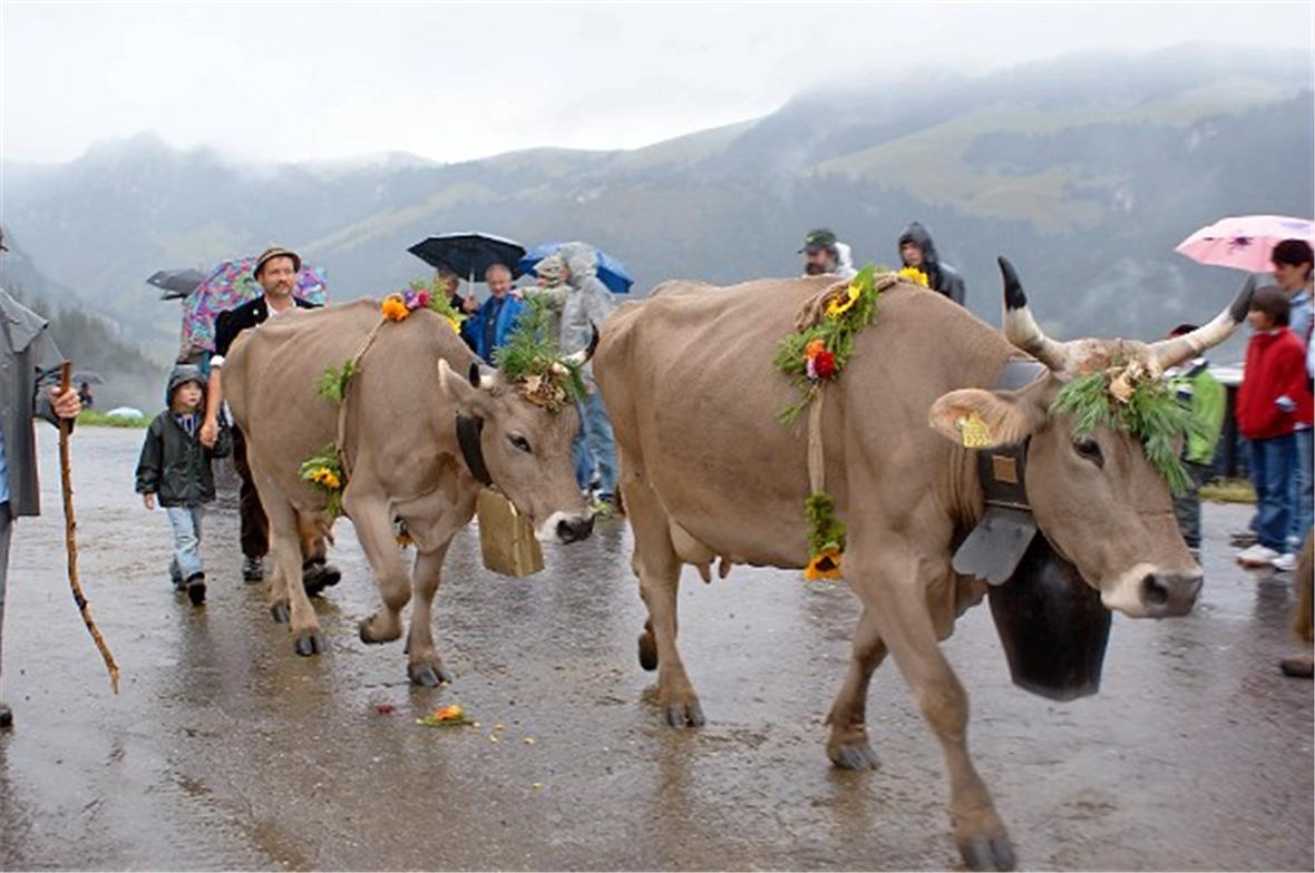 Mit dem Älpler-Nachtessen, dem Unterhaltungsabend, Marktständen, einem Cheese-Ru...