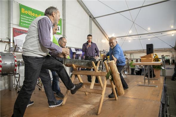 Mit dem Zersägen eines Baumstammes durch die beiden ehemaligen Präsidenten wurde die Ausstellung offiziell eröffnet.