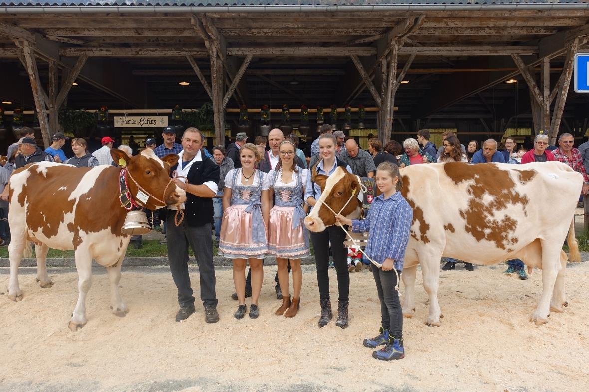 Mit dem höchsten Eiweiss-Gehalt in der Milch verkörperte Kuh «Helena» aus dem St...
