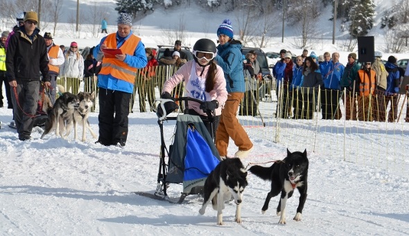 Mit der 13-jährigen Chiara Hanselmann aus Salez im Rheintal geht eine ganz junge Nachwuchsmusherin mit ihrem Doppelgespann in den Trail.
