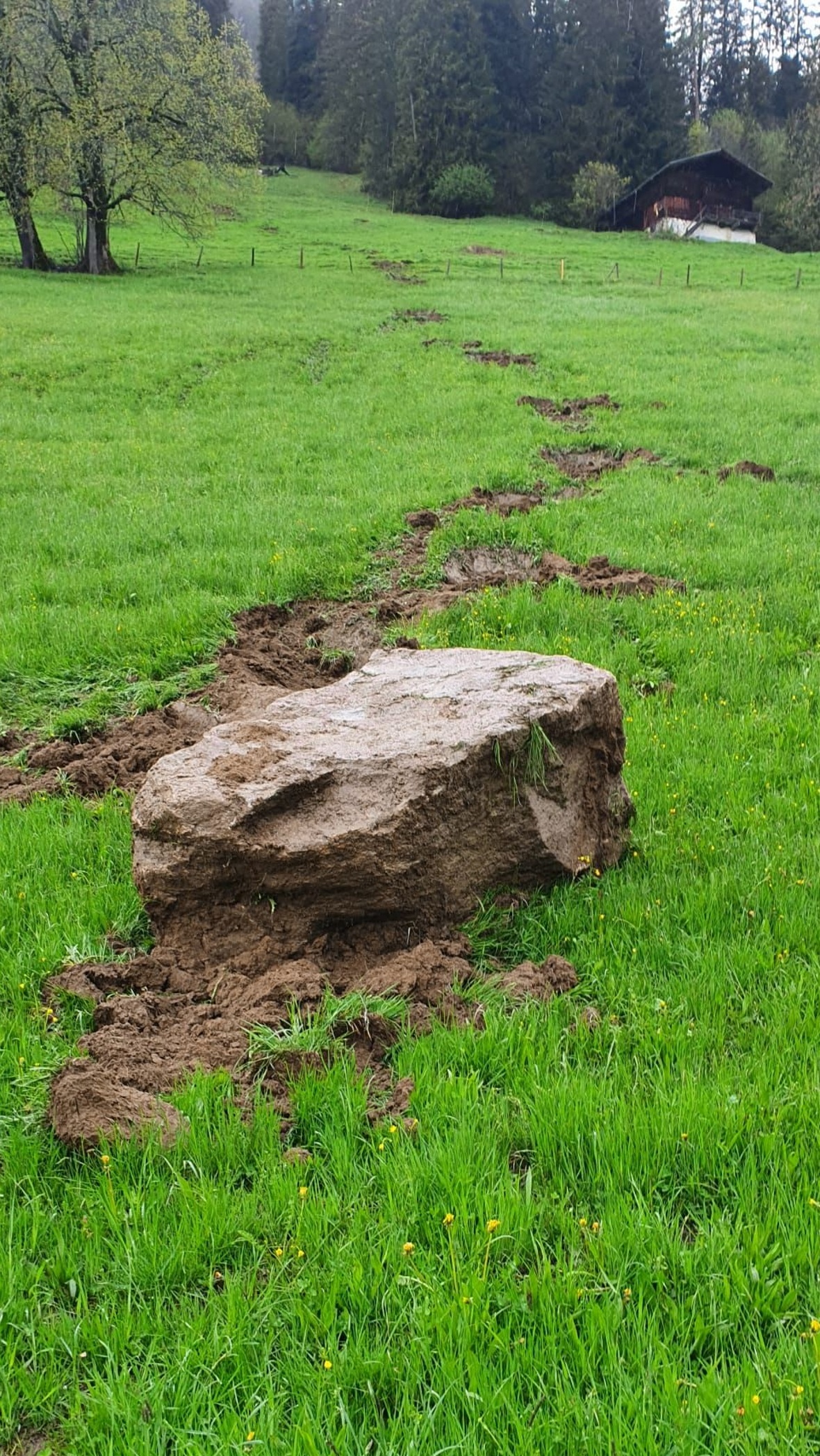 Mit einer deutlichen Spur im Gras: Der Felsbrocken rollte den Hang hinunter.