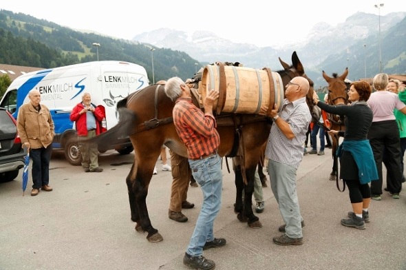 Mit vereinten Kräften wird das Maultier von dem Gewicht des Fasses befreit.