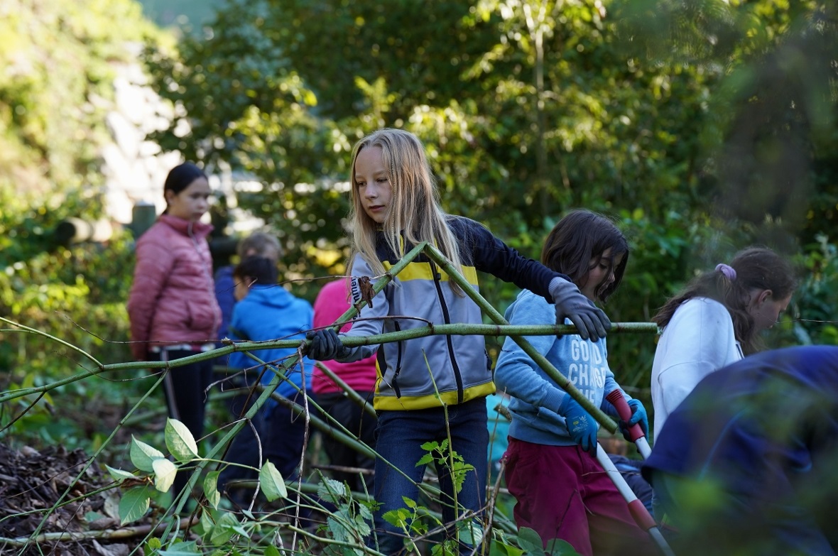 Mit viel Engagement waren die Schüler der Schule Boltigen bei der Neophyten-Bekä...