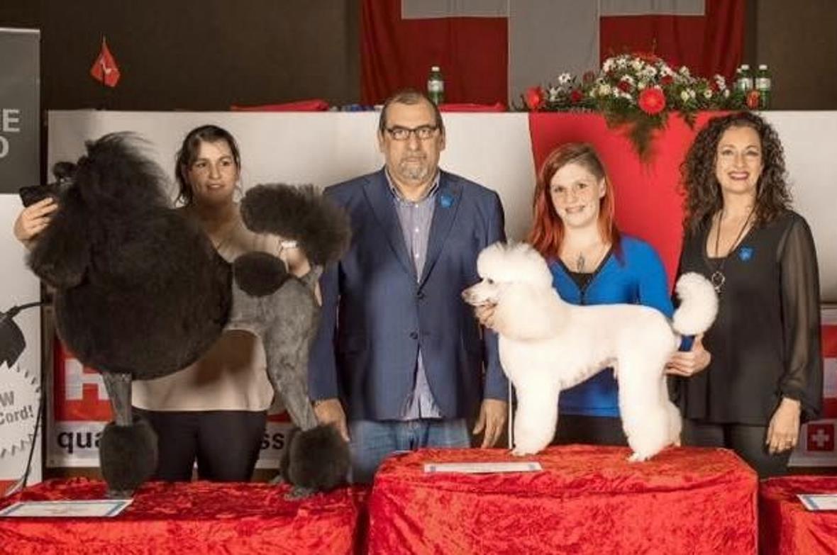 Mitarbeiterin Claire Schneeberger war ebenfalls erfolgreich und erreichte Podestplätze.