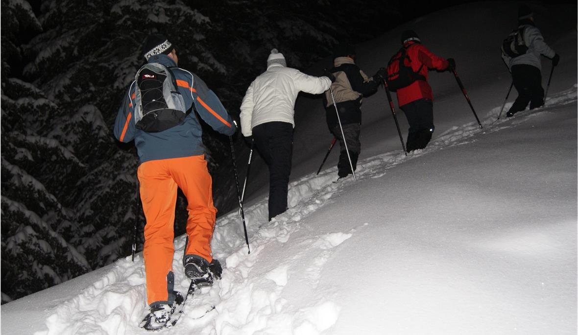 Mondschein-Schneeschuh-Tourengruppe im Stockhorngebiet angeführt von Bergführer Thomas Zwahlen.