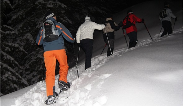 Mondschein-Schneeschuh-Tourengruppe im Stockhorngebiet angeführt von Bergführer Thomas Zwahlen.