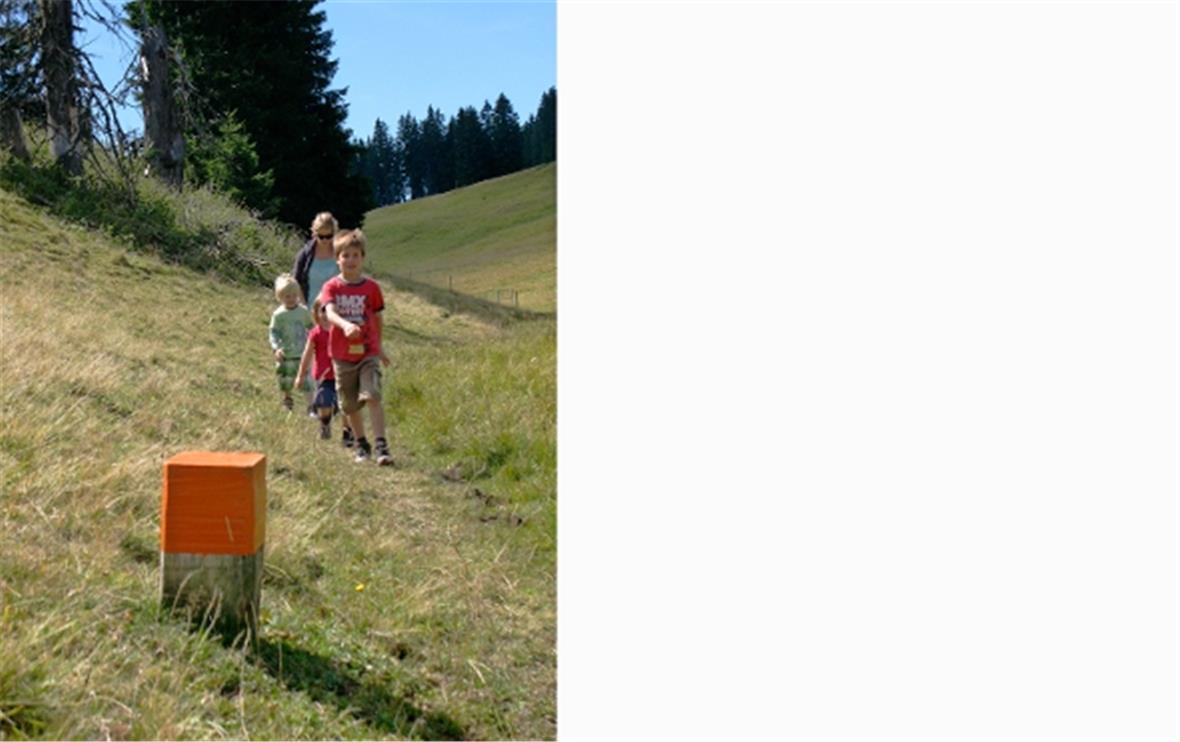 Moor-, Wild- und Kulturweg sind nicht nur im Sommer beliebte Themenwege auf dem Sparenmoos, aber besonders jetzt.