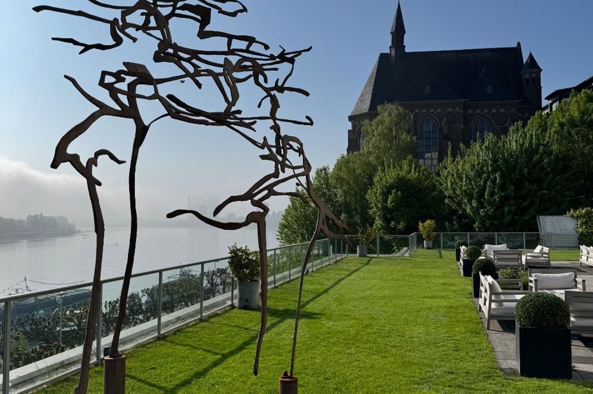 Im Banne des Rheins Morgenstimmung am Rhein in Bonn.