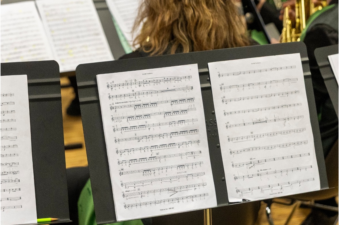 Musikgesellschaft Boltigen am Eidgenössischen Musikfest Biel 2026 
