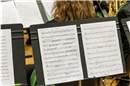 Musikgesellschaft Boltigen am Eidgenössischen Musikfest Biel 2026 