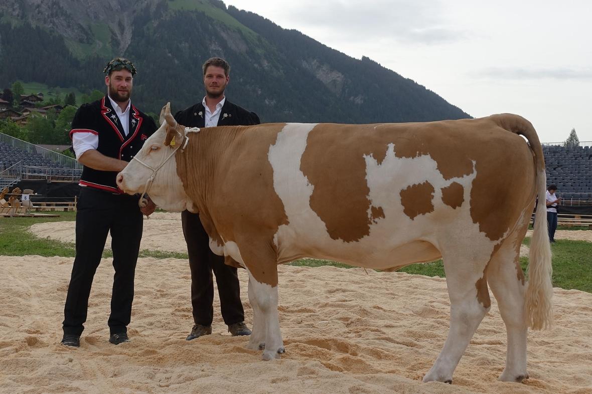 Nach der Niederlage im Schlussgang musste sich der Diemtigtaler Ruedi Roschi zue...
