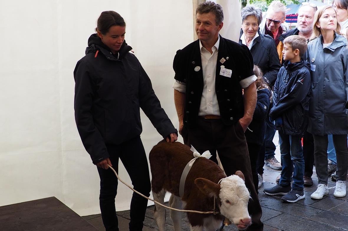 Nathalie von Siebenthal mit Simmentaler Kalb und von Johann von Grünigen, Landwi...