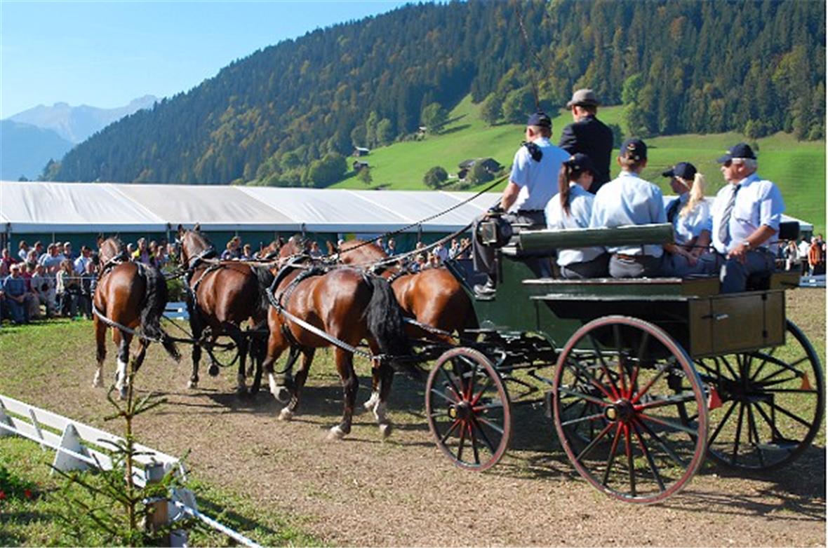 Nationales Gestüt Avenches