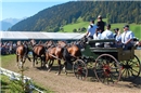 Nationales Gestüt Avenches