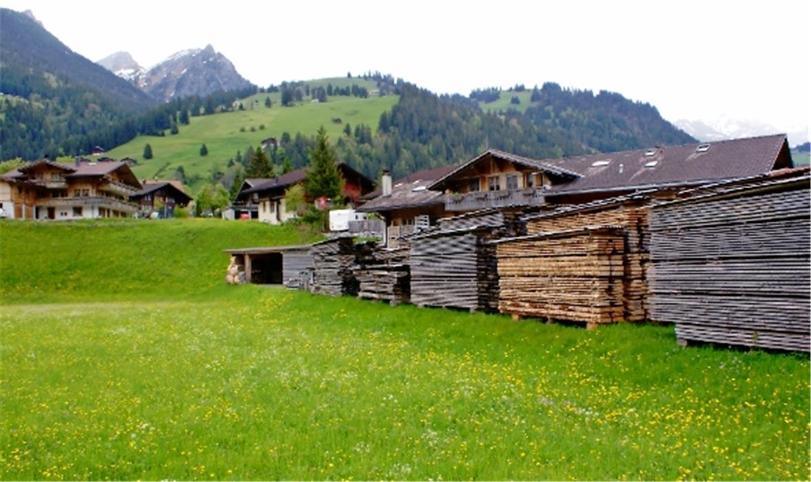 Neues Gewerbeland für die Erweiterung eines einheimischen Schreinerbetriebs.