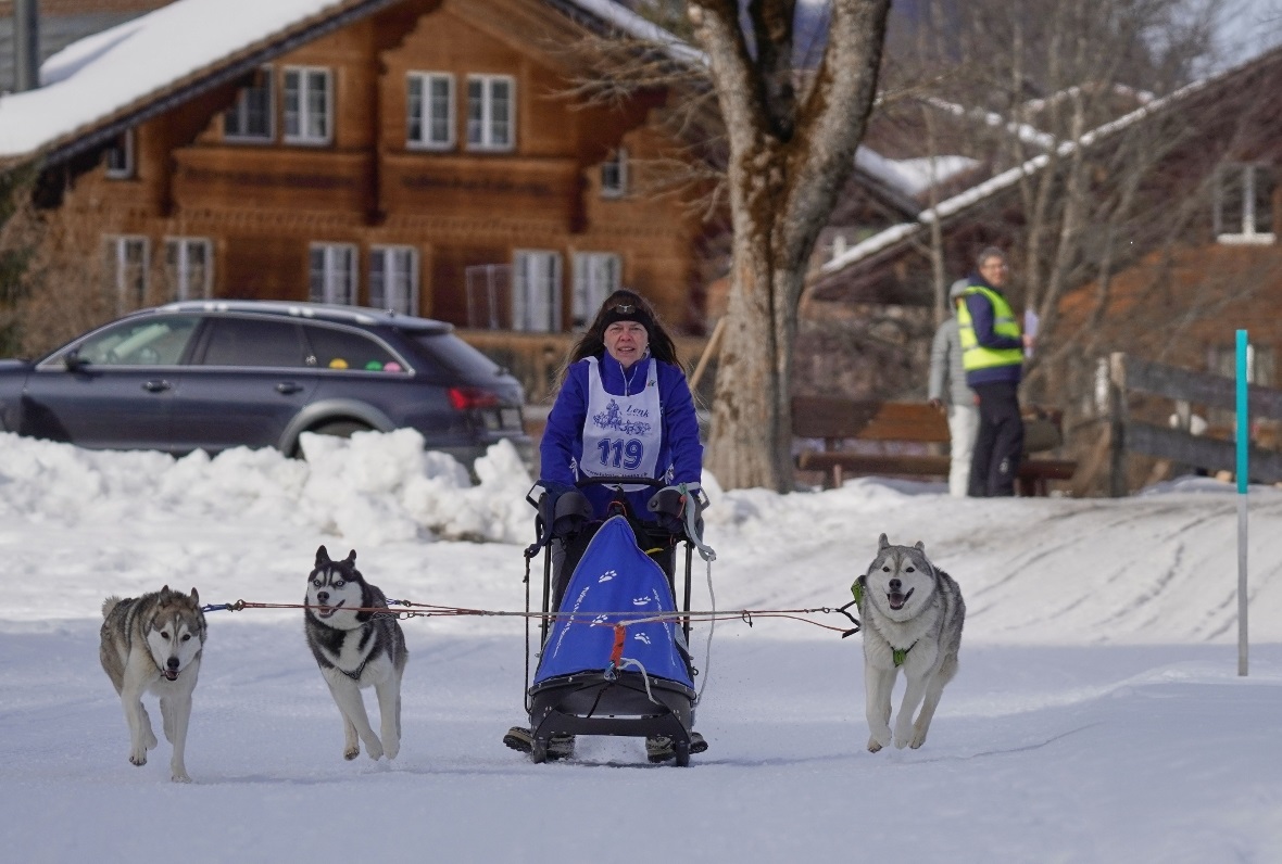 Nicht immer zogen die Hunde in enger Formation in dieselbe Richtung...