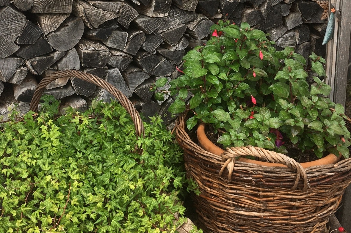 Nicht nur Pflanzen: Die Aktiven des Gartensommerweges haben auch in Sachen Dekoration ganze Arbeit geleitet. Abgerundet in diesem Jahr durch Sprüche aus der Gartenwelt.