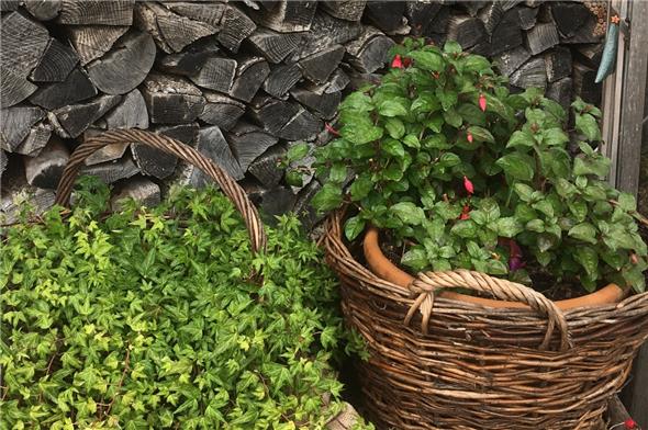 Nicht nur Pflanzen: Die Aktiven des Gartensommerweges haben auch in Sachen Dekoration ganze Arbeit geleitet. Abgerundet in diesem Jahr durch Sprüche aus der Gartenwelt.