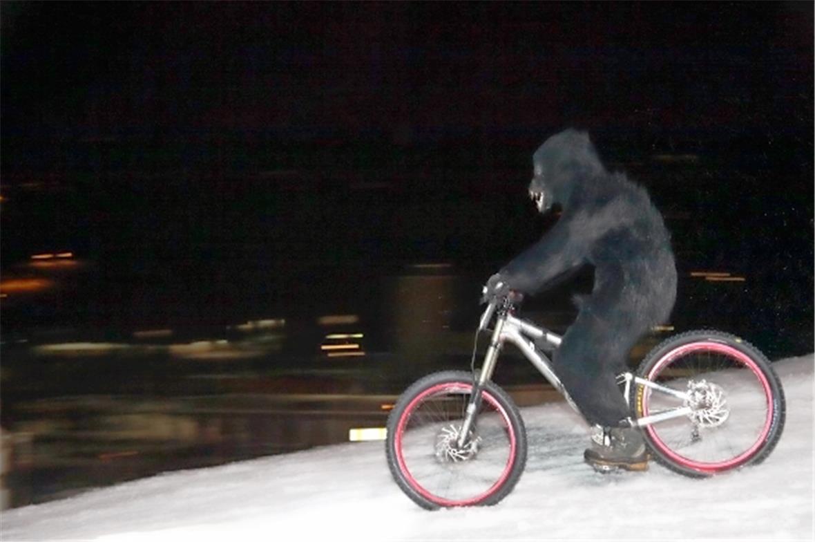 Nicht nur die Abfahrt an den Snowgames ist wild, manchmal sind es auch die Teilnehmer.