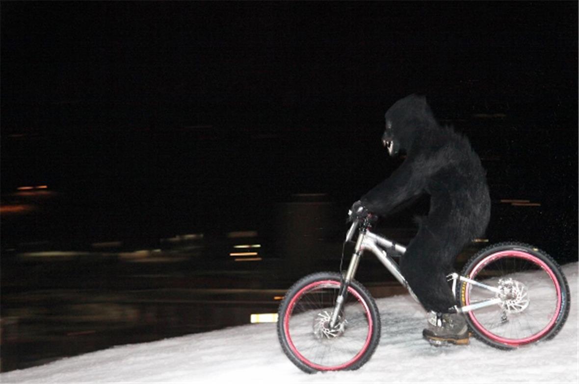 Nicht nur die Abfahrt an den Snowgames ist wild, manchmal sind es auch die Teiln...