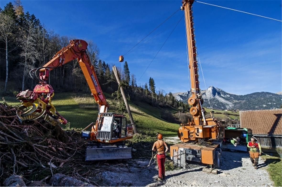 Nicht nur die Stämme der Fichten sondern auch die Äste müssen aus dem Flyscherew...