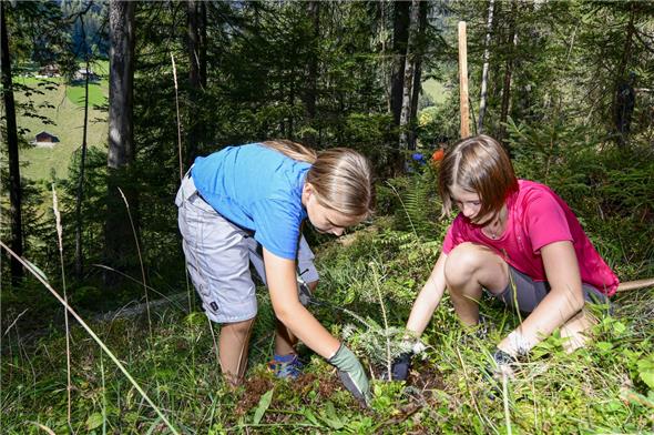 Nicht nur zuschauen: Die Schülerinnen und Schüler pflanzten am Umweltbildungstag selbst Bäume.
