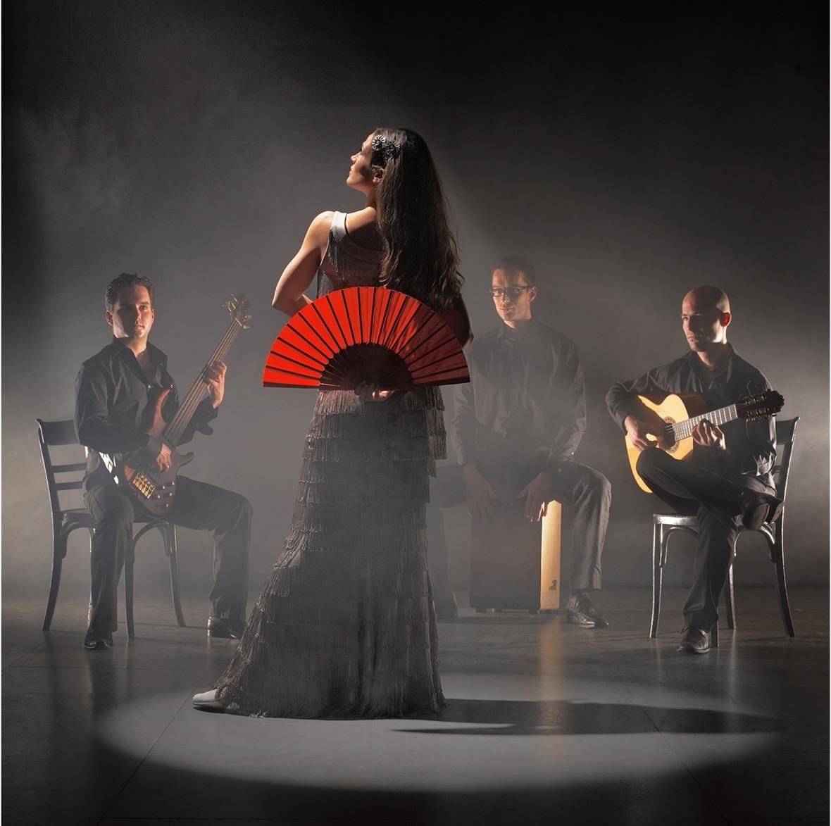 17. Saisonprogramm zum Thema «Women & Hot Strings» Nick Perrin Flamenco Jazz Quartett (Bild: Werner Tschan)