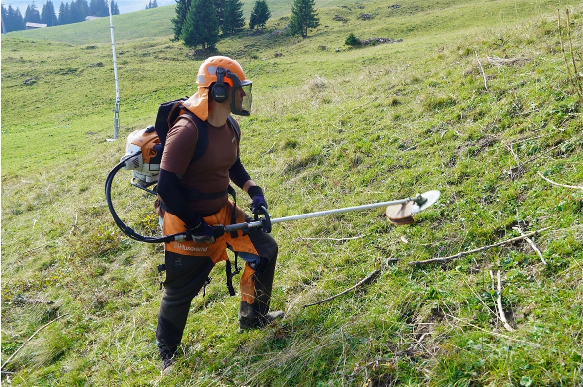 Nico säuberte das Terrain mit der Motorsense.
